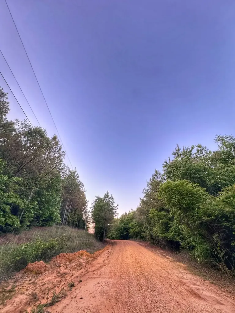 03 Grant Road Hamilton Al AL 35593