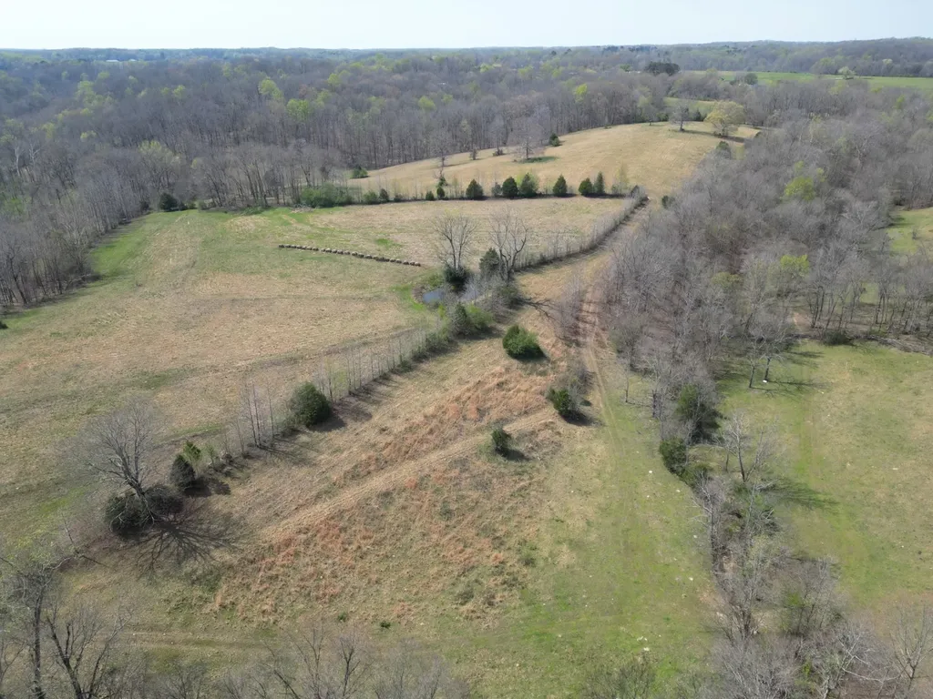 8154 Tommy Hill Road Anderson AL 35610