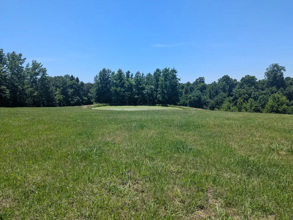 8154 Tommy Hill Road Anderson AL 35610