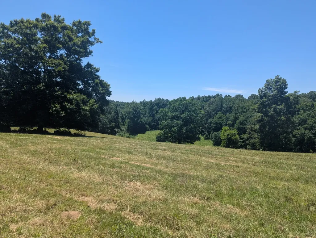 8154 Tommy Hill Road Anderson AL 35610