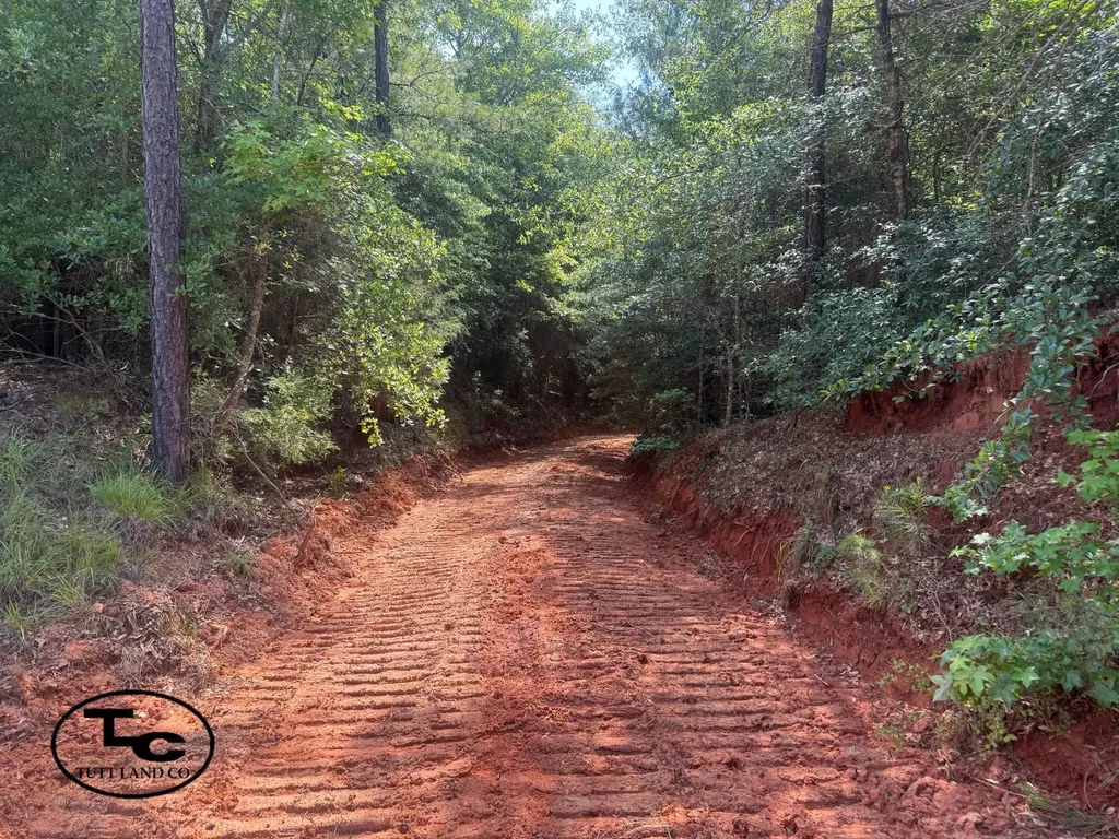 0 Mars Hill Cemetery Road Marion AL 36756