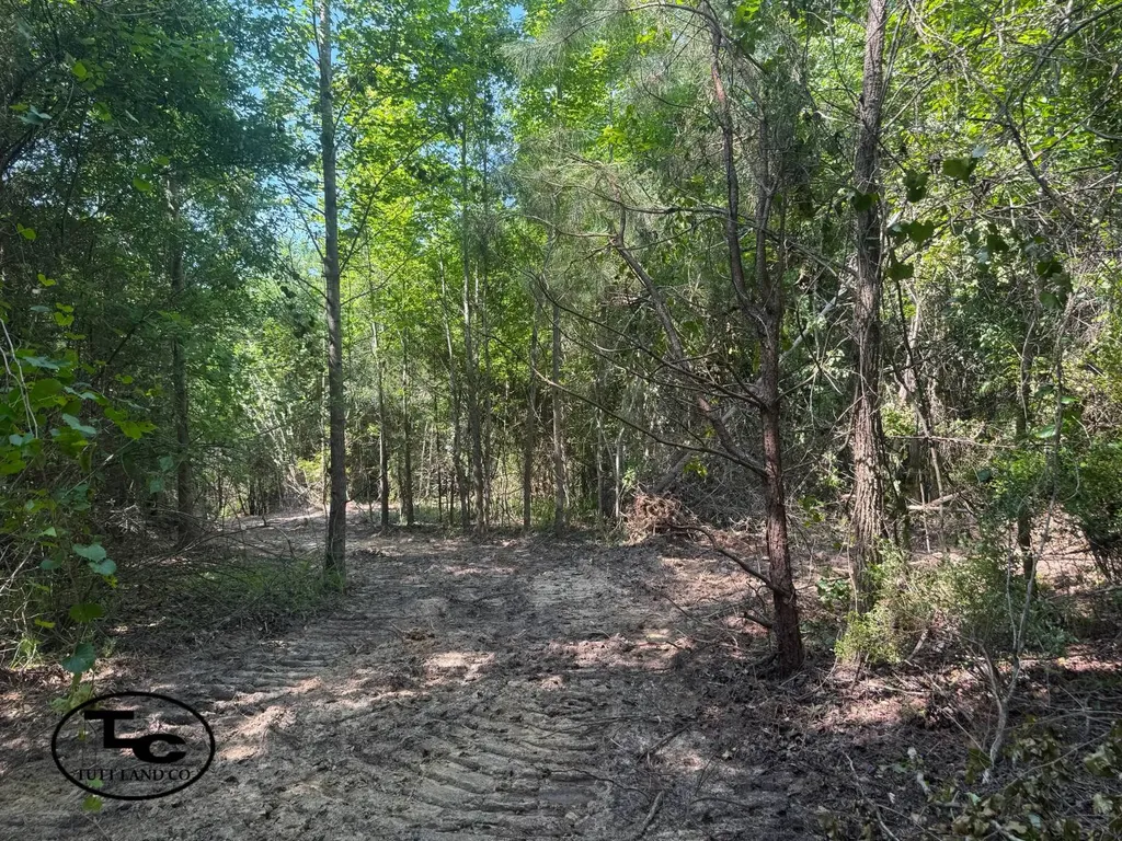 0 Mars Hill Cemetery Road Marion AL 36756