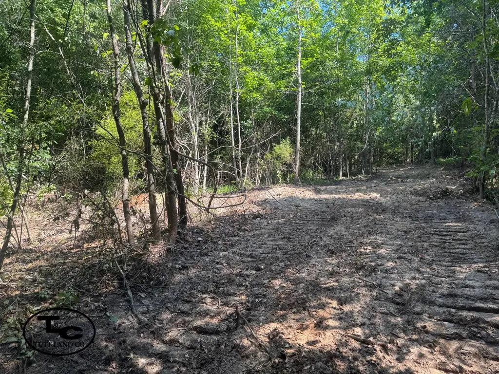 0 Mars Hill Cemetery Road Marion AL 36756