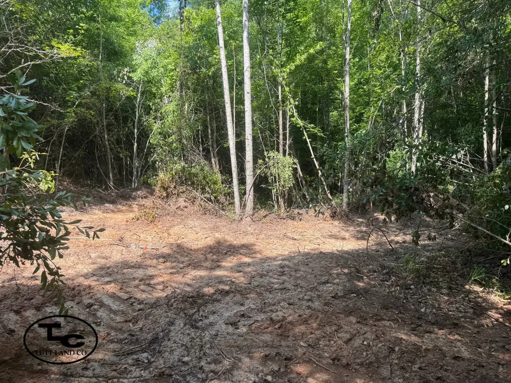 0 Mars Hill Cemetery Road Marion AL 36756