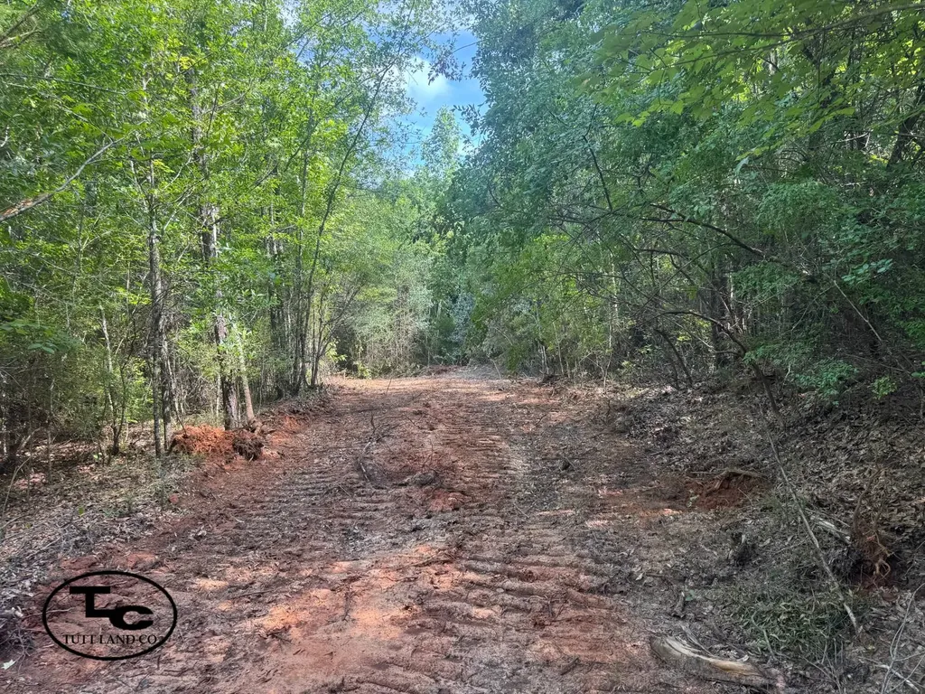 0 Mars Hill Cemetery Road Marion AL 36756