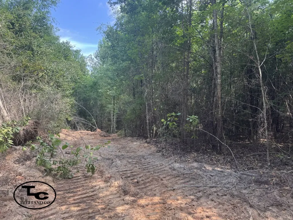 0 Mars Hill Cemetery Road Marion AL 36756