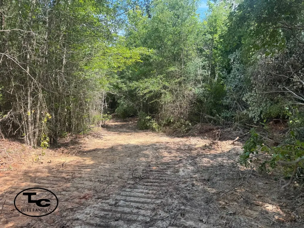 0 Mars Hill Cemetery Road Marion AL 36756