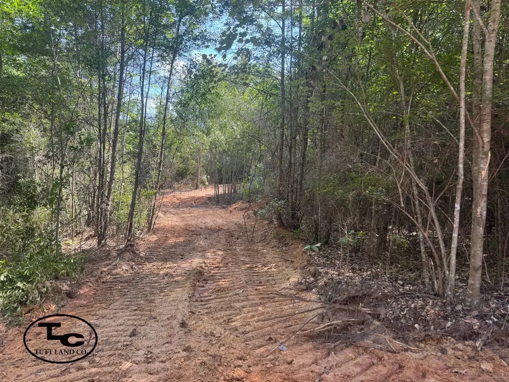 0 Mars Hill Cemetery Road Marion AL 36756