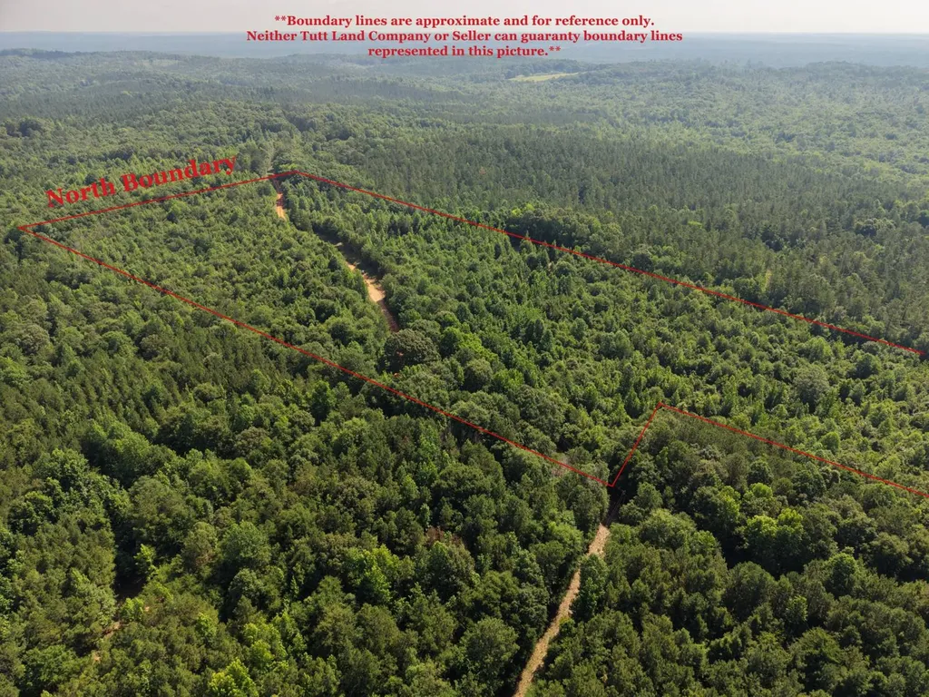 0 Mars Hill Cemetery Road Marion AL 36756