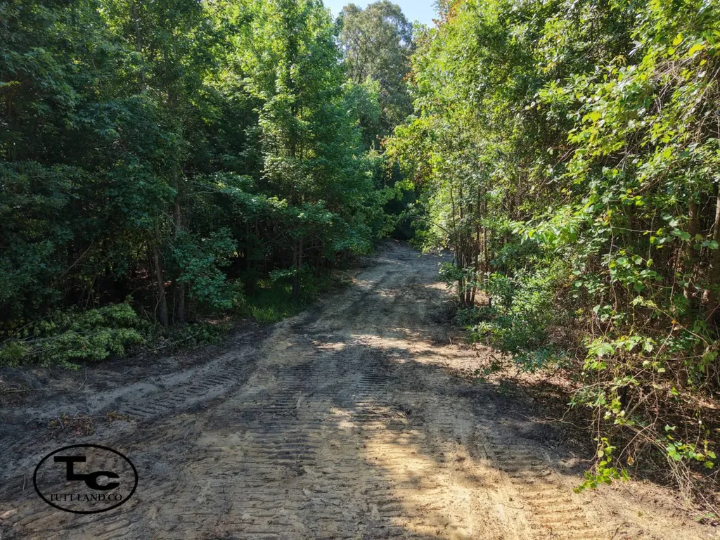0 Mars Hill Cemetery Road Marion AL 36756
