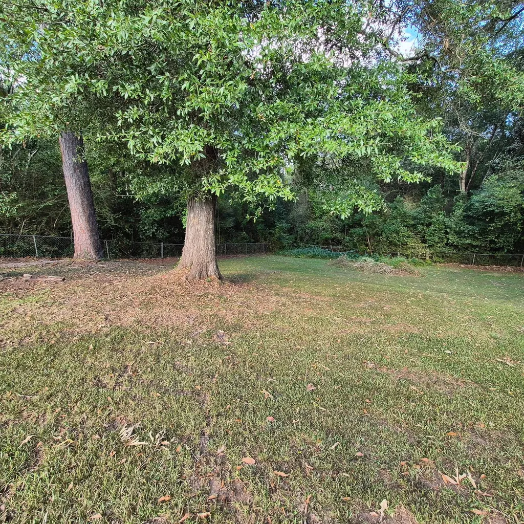 105 Elizabeth Street Evergreen AL 36401