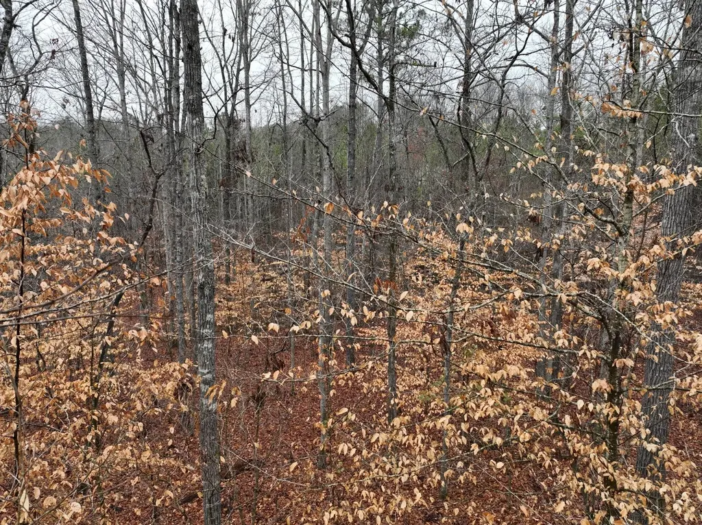 0 Luker Lake Road Pell City AL 35128