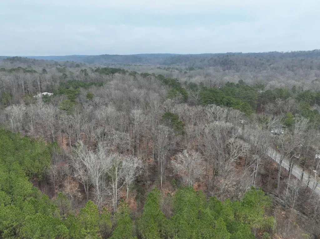 0 Luker Lake Road Pell City AL 35128