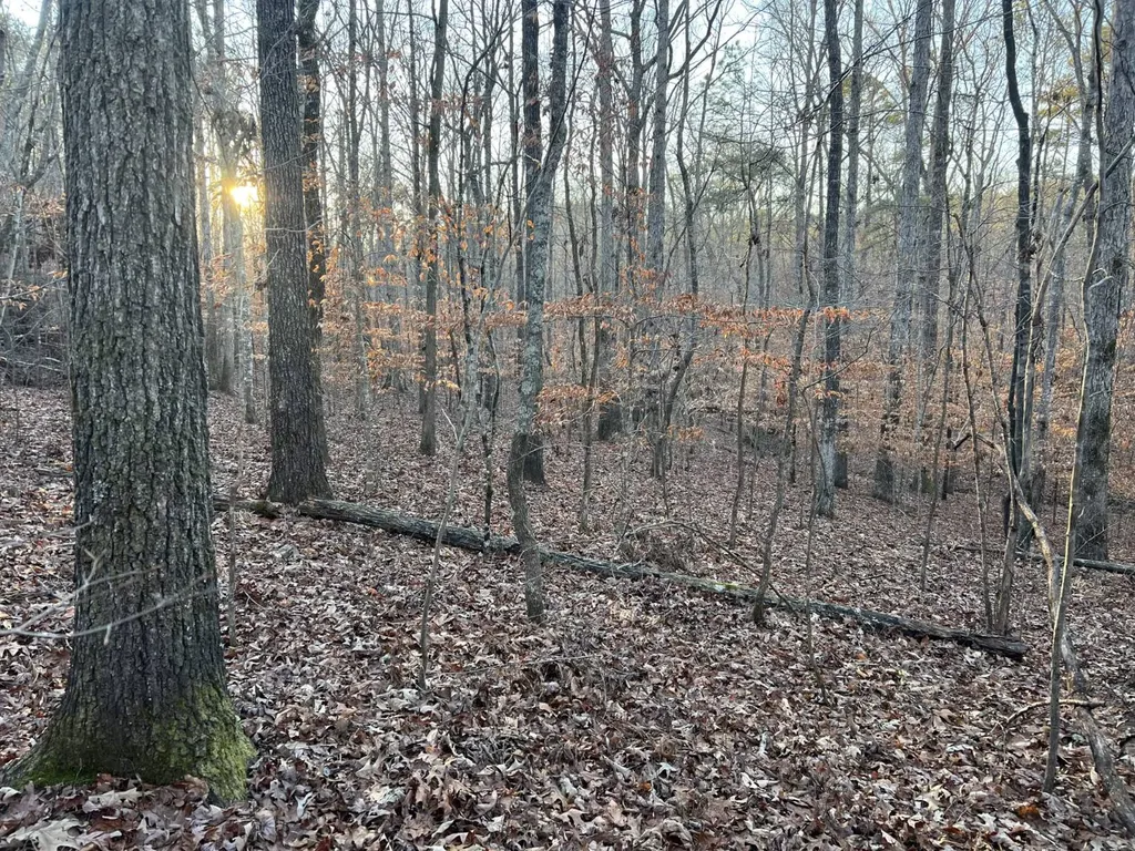 0 Luker Lake Road Pell City AL 35128