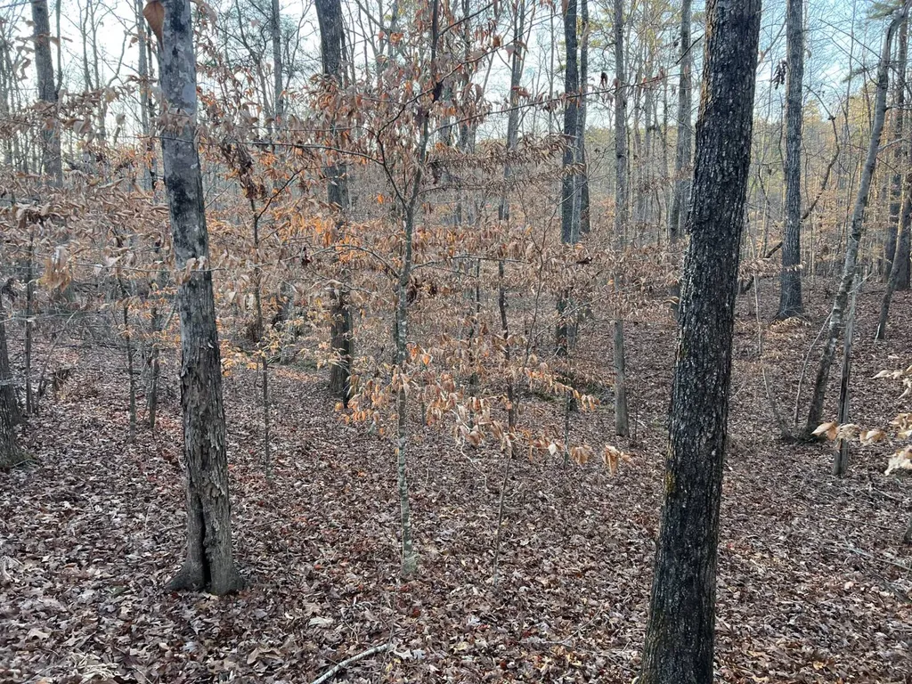 0 Luker Lake Road Pell City AL 35128