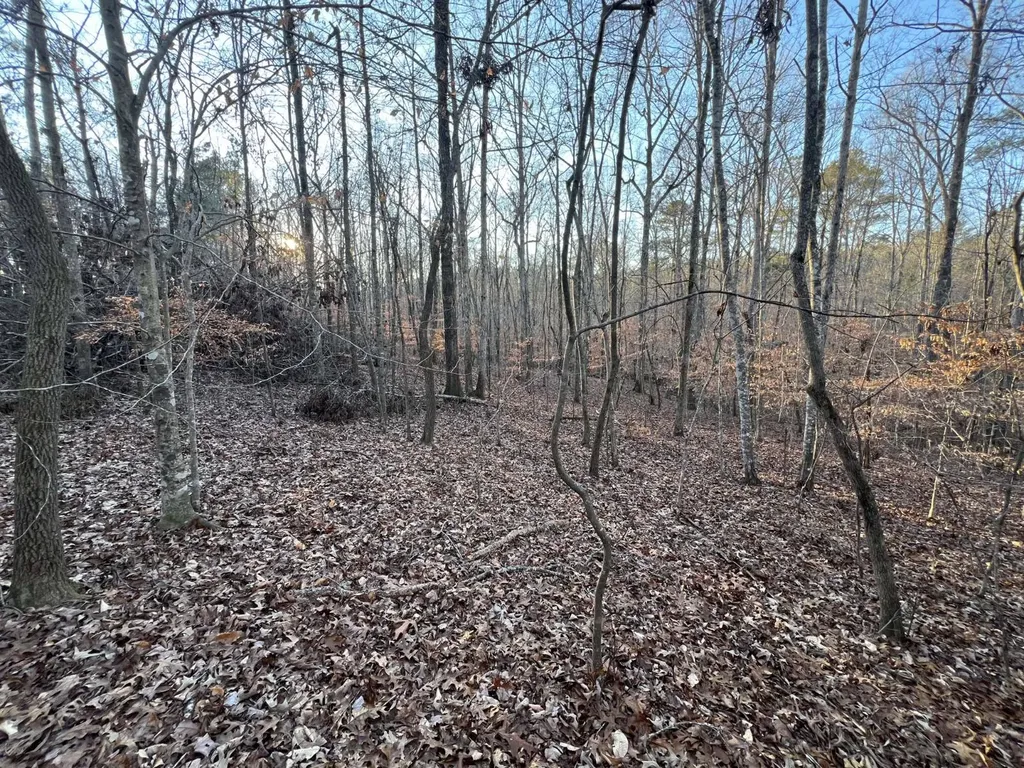 0 Luker Lake Road Pell City AL 35128