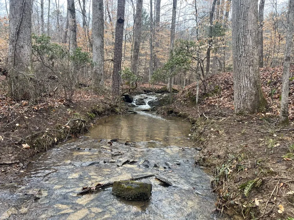 0 Luker Lake Road Pell City AL 35128