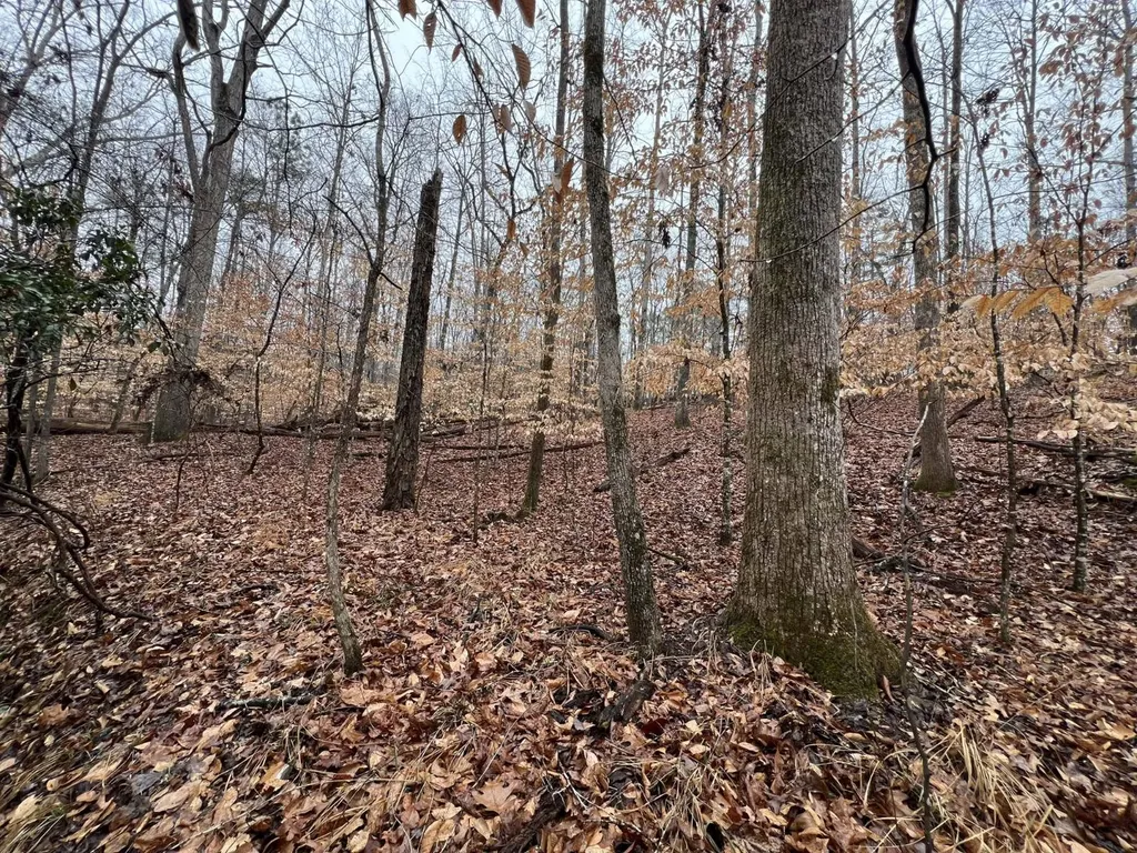 0 Luker Lake Road Pell City AL 35128