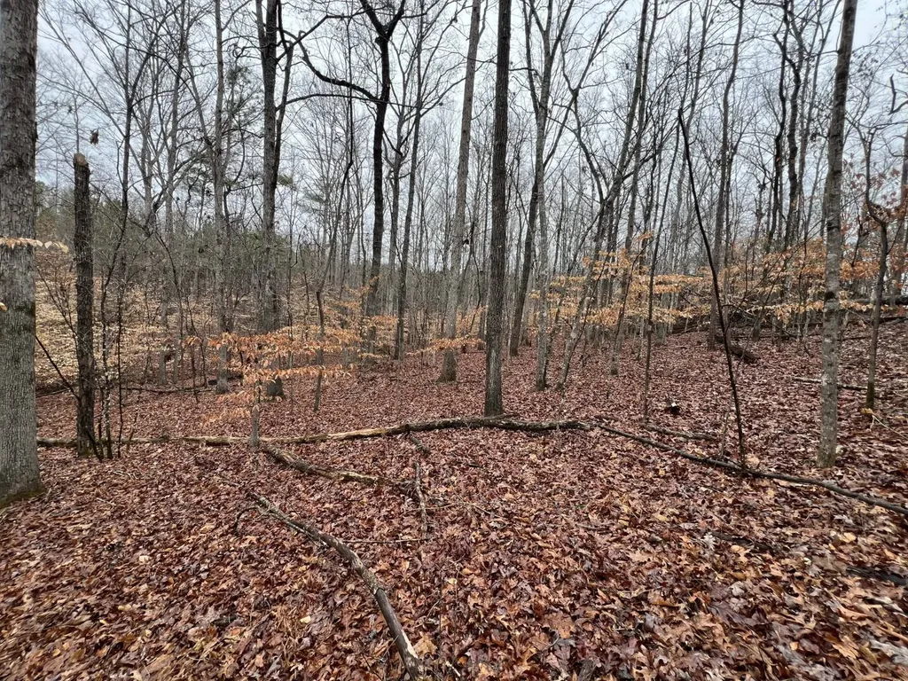 0 Luker Lake Road Pell City AL 35128