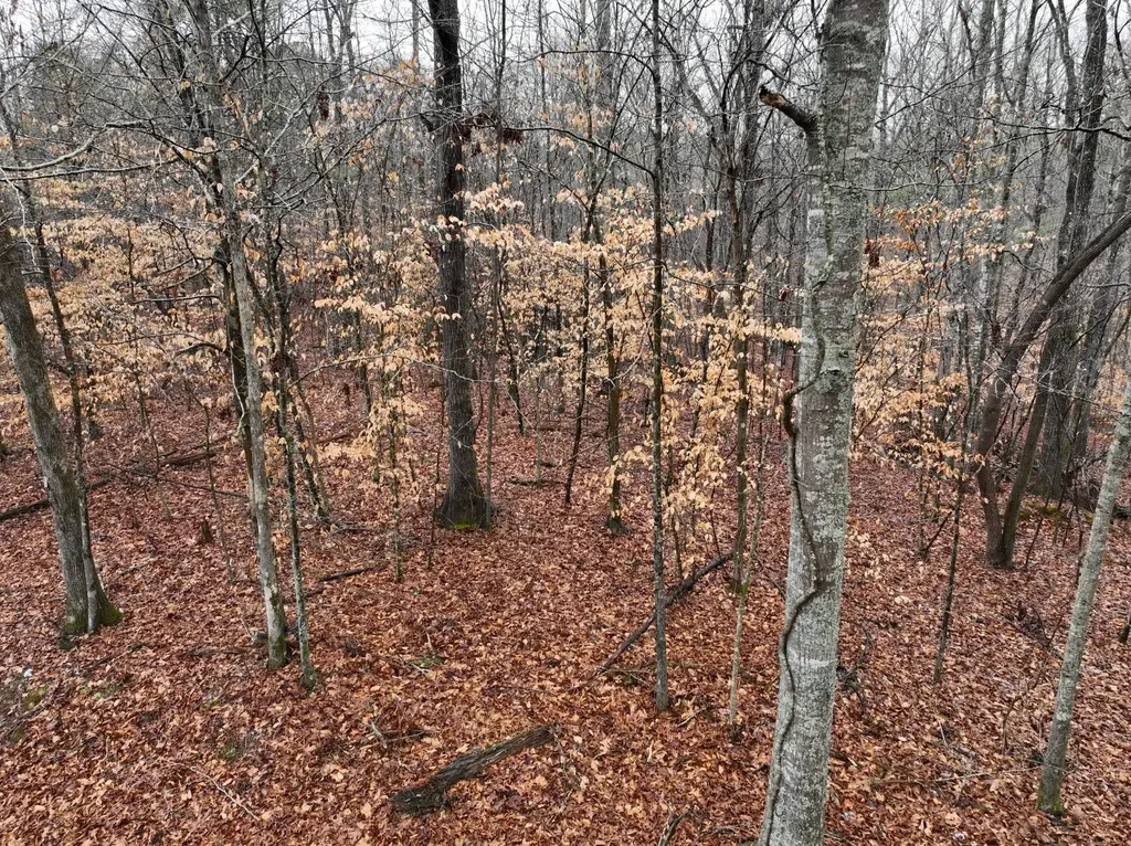 0 Luker Lake Road Pell City AL 35128