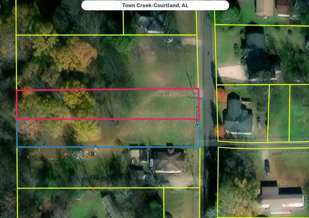 0 College Street Courtland AL 35618
