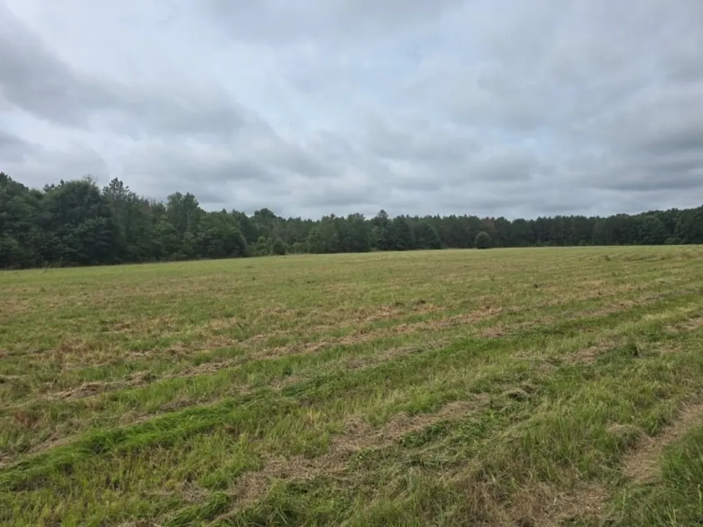 0 Oak Village Road Akron AL 35441