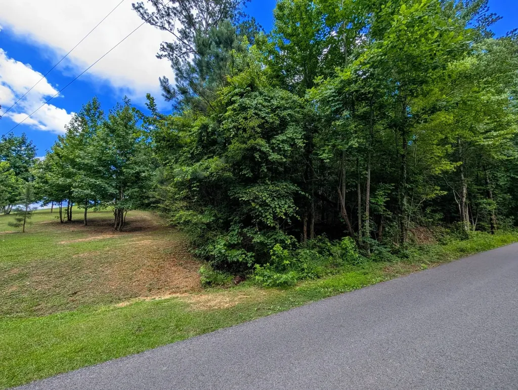 3356 Bridgepoint Road Southside AL 35907