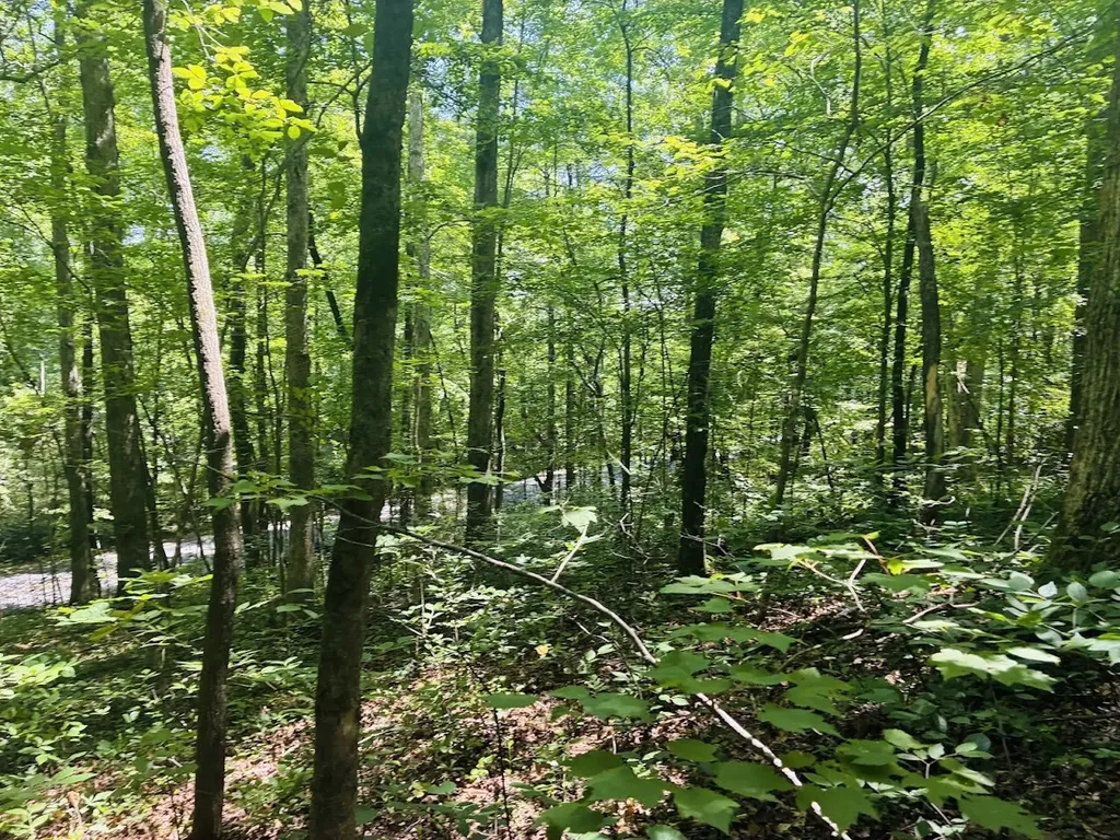 0 Forest Glen Road Sylacauga AL 35151