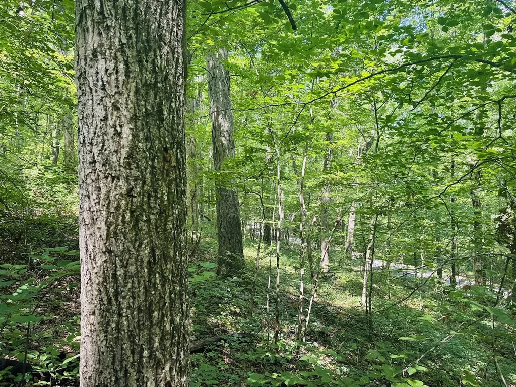 0 Forest Glen Road Sylacauga AL 35151