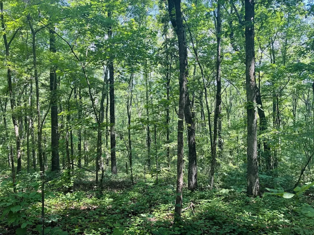 0 Forest Glen Road Sylacauga AL 35151