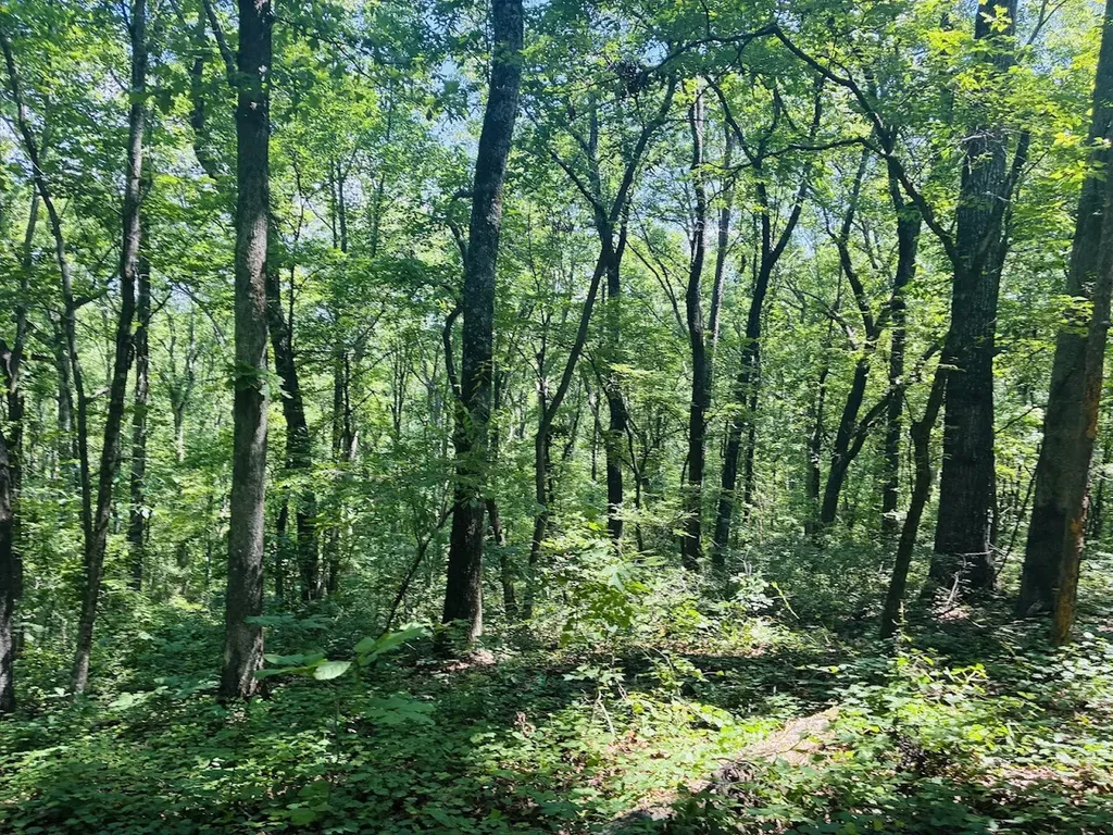 0 Forest Glen Road Sylacauga AL 35151