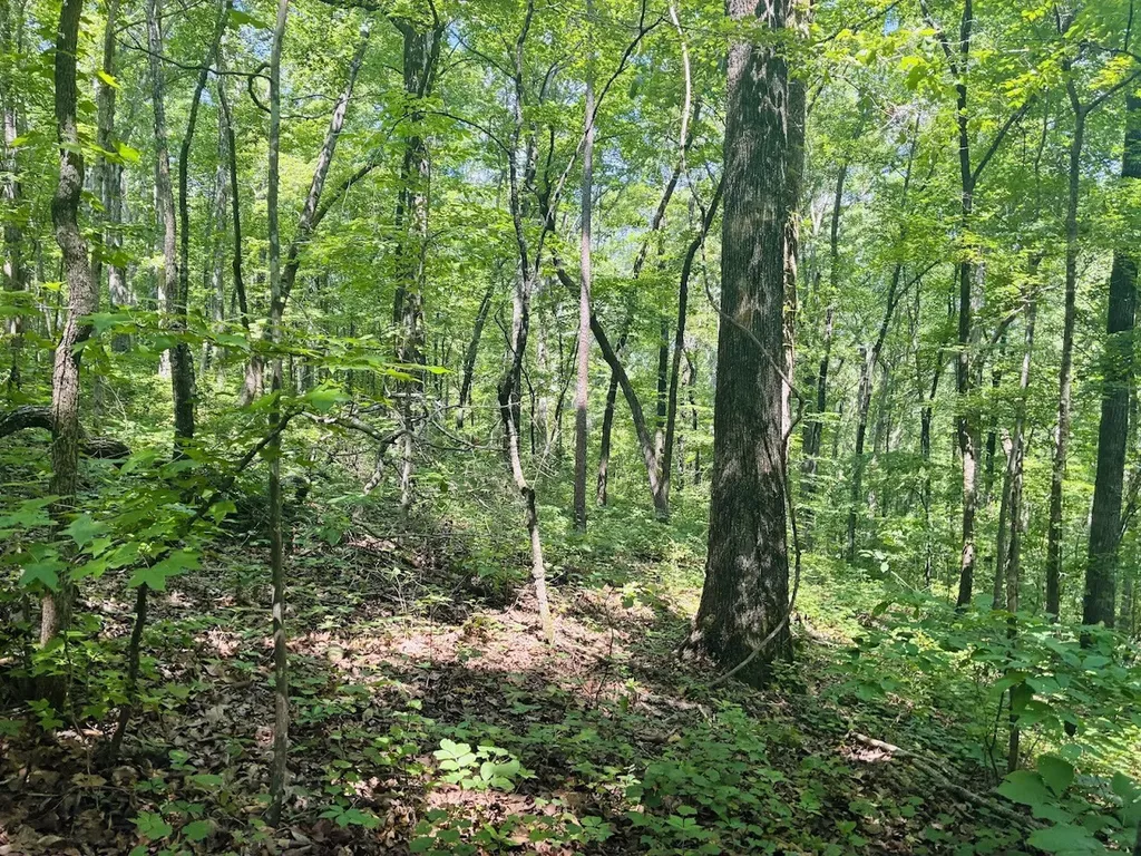 0 Forest Glen Road Sylacauga AL 35151