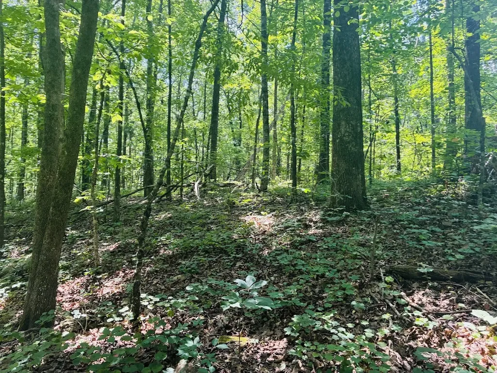 0 Forest Glen Road Sylacauga AL 35151
