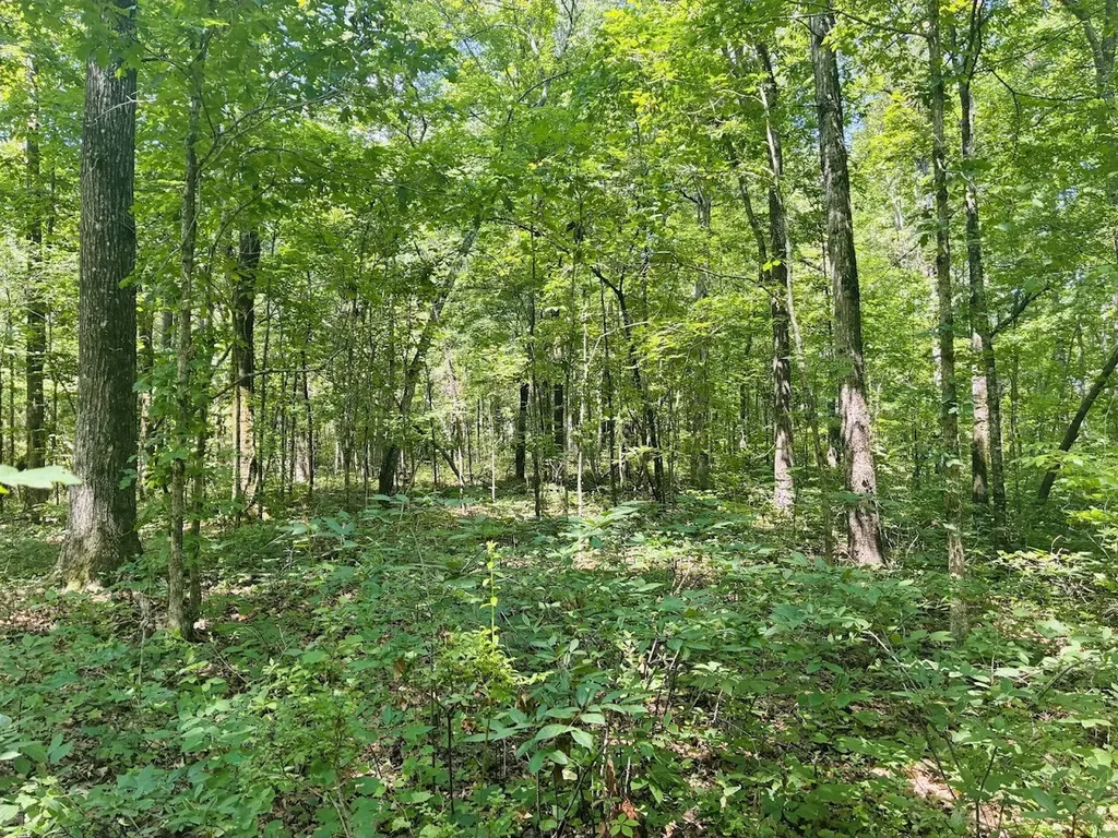 0 Forest Glen Road Sylacauga AL 35151