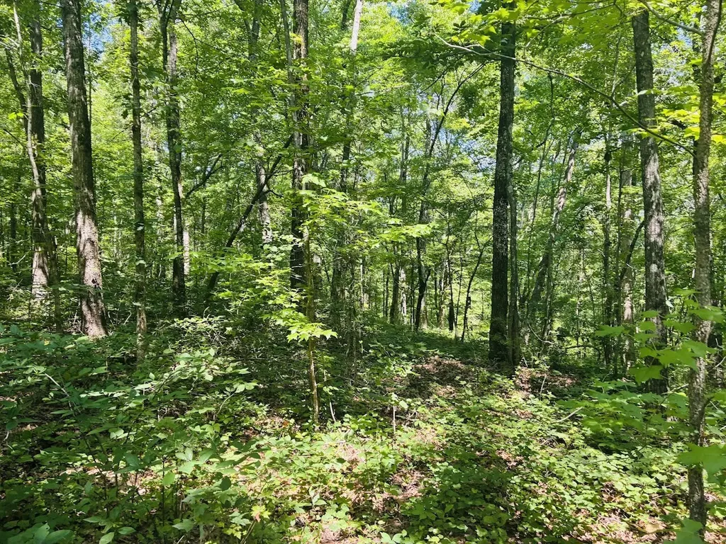 0 Forest Glen Road Sylacauga AL 35151