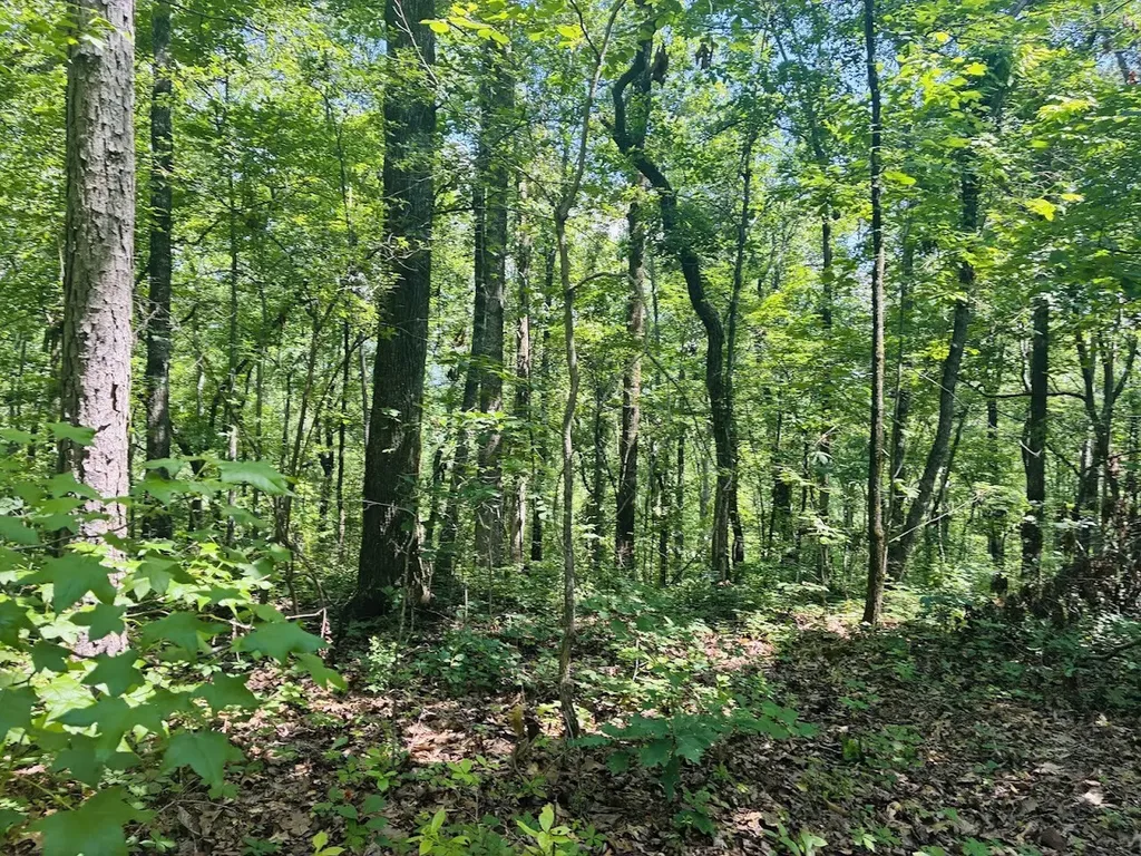 0 Forest Glen Road Sylacauga AL 35151