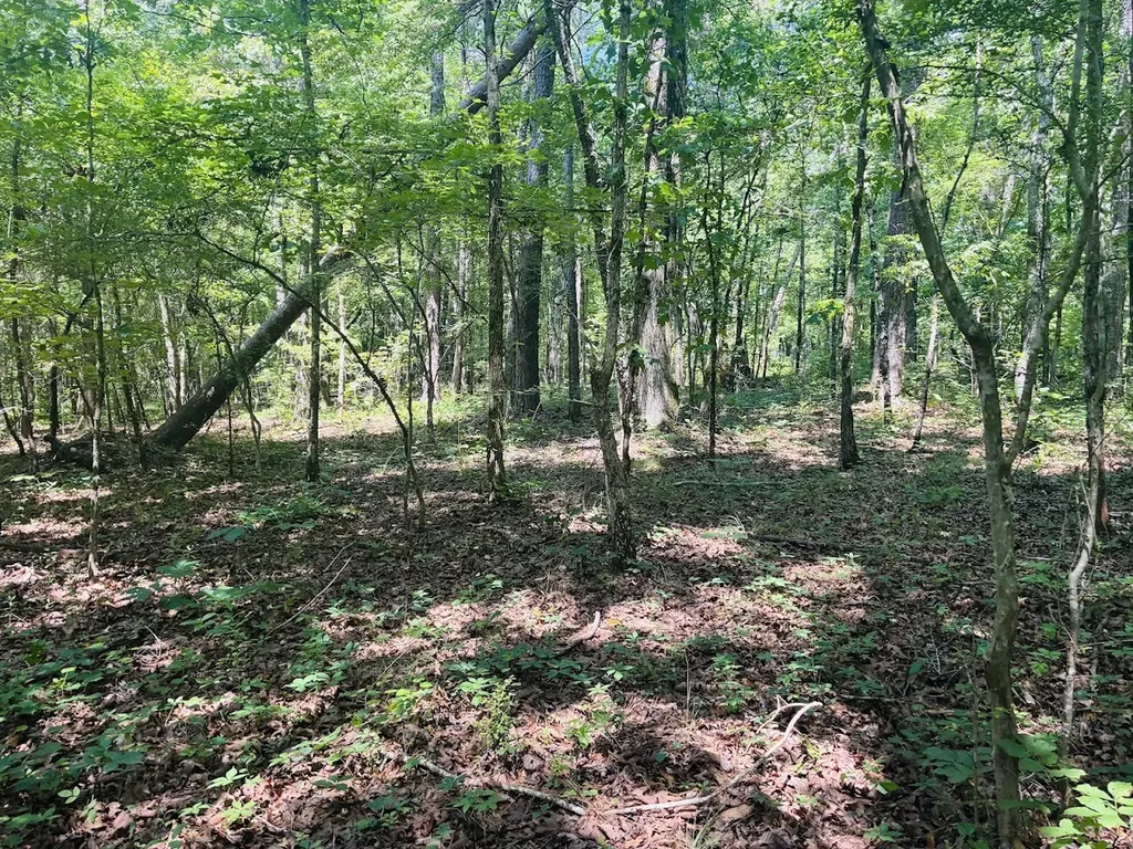 0 Forest Glen Road Sylacauga AL 35151