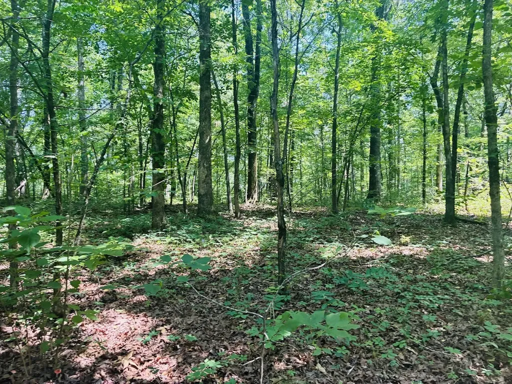 0 Forest Glen Road Sylacauga AL 35151