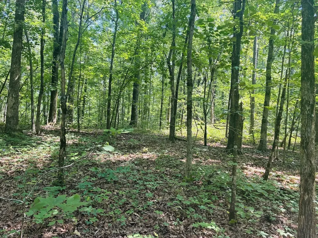 0 Forest Glen Road Sylacauga AL 35151