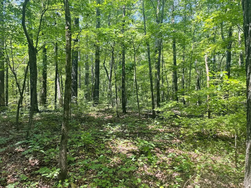0 Forest Glen Road Sylacauga AL 35151