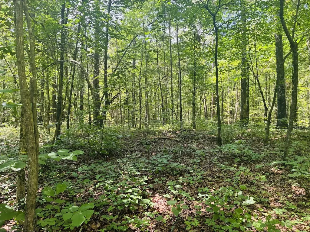 0 Forest Glen Road Sylacauga AL 35151
