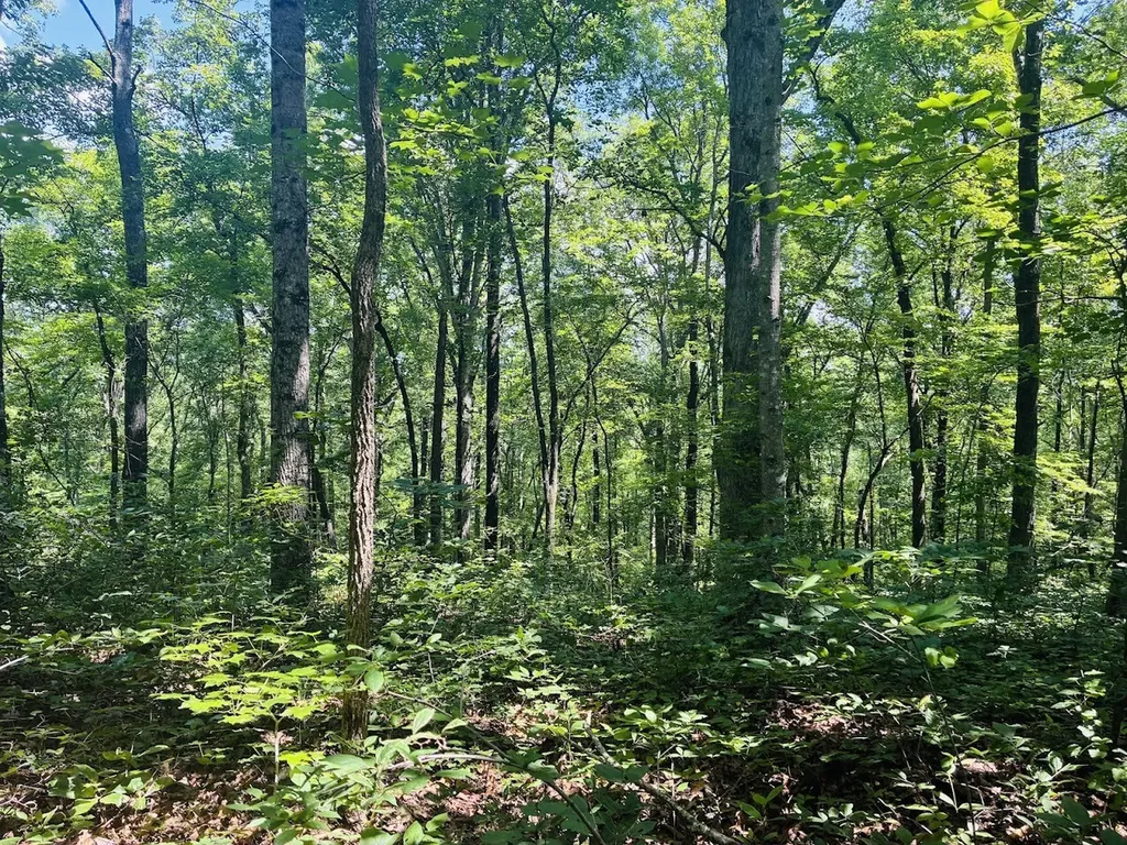 0 Forest Glen Road Sylacauga AL 35151