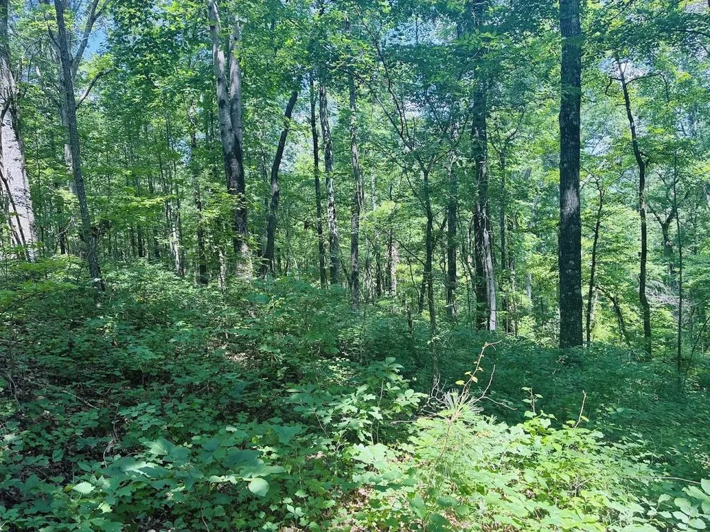 0 Forest Glen Road Sylacauga AL 35151