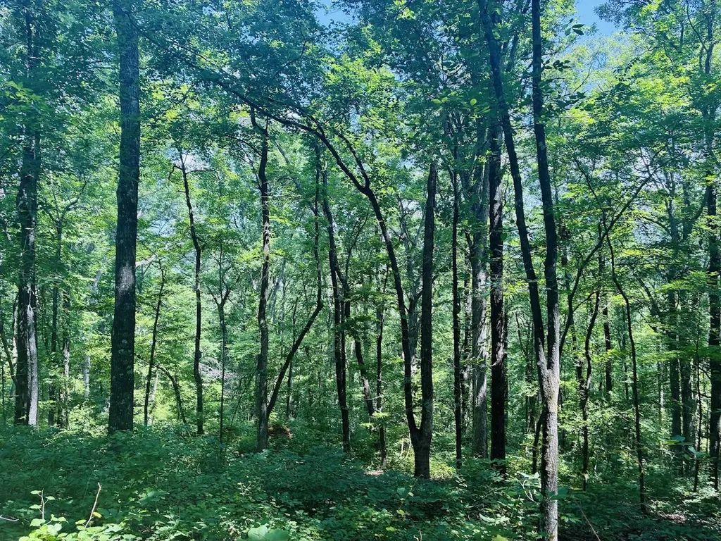 0 Forest Glen Road Sylacauga AL 35151