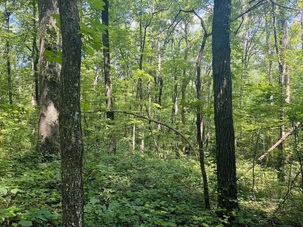0 Forest Glen Road Sylacauga AL 35151