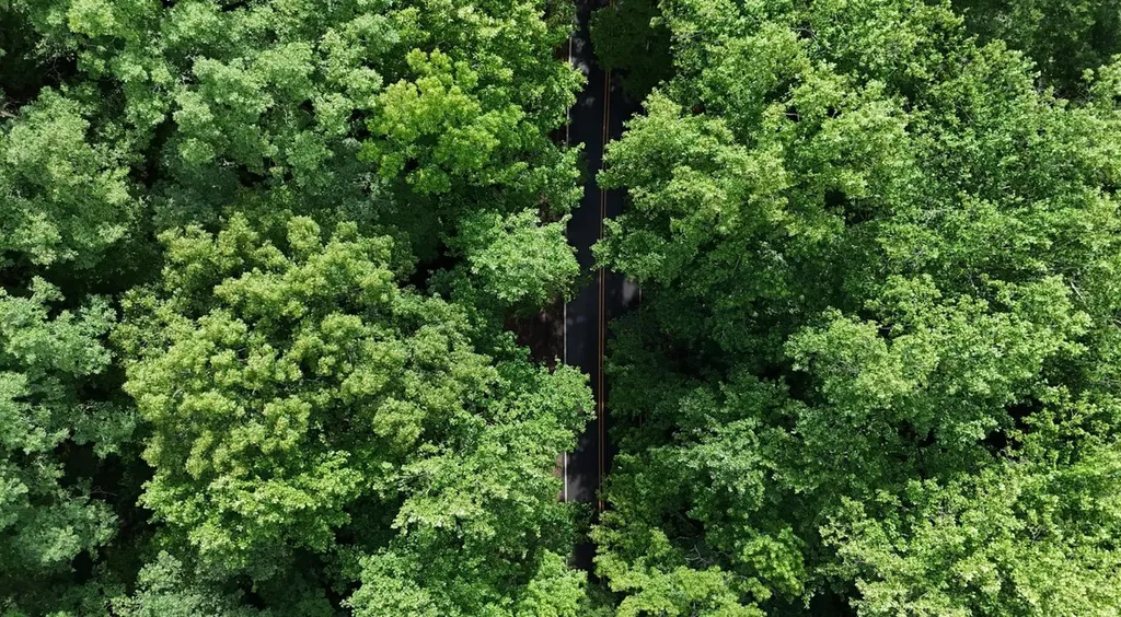 0 Forest Glen Road Sylacauga AL 35151