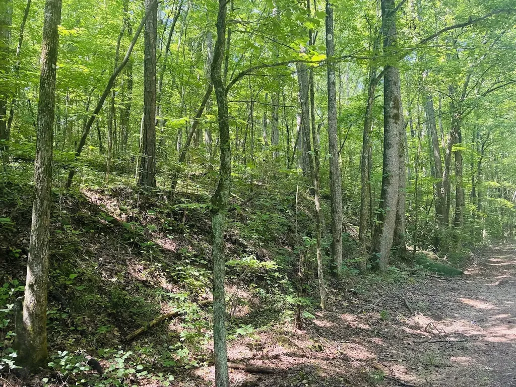 0 Forest Glen Road Sylacauga AL 35151