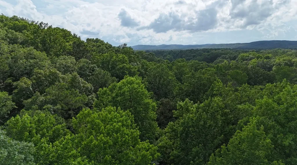 0 Forest Glen Road Sylacauga AL 35151
