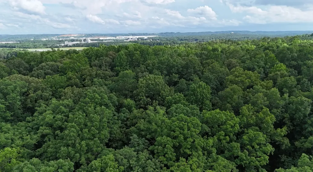 0 Forest Glen Road Sylacauga AL 35151