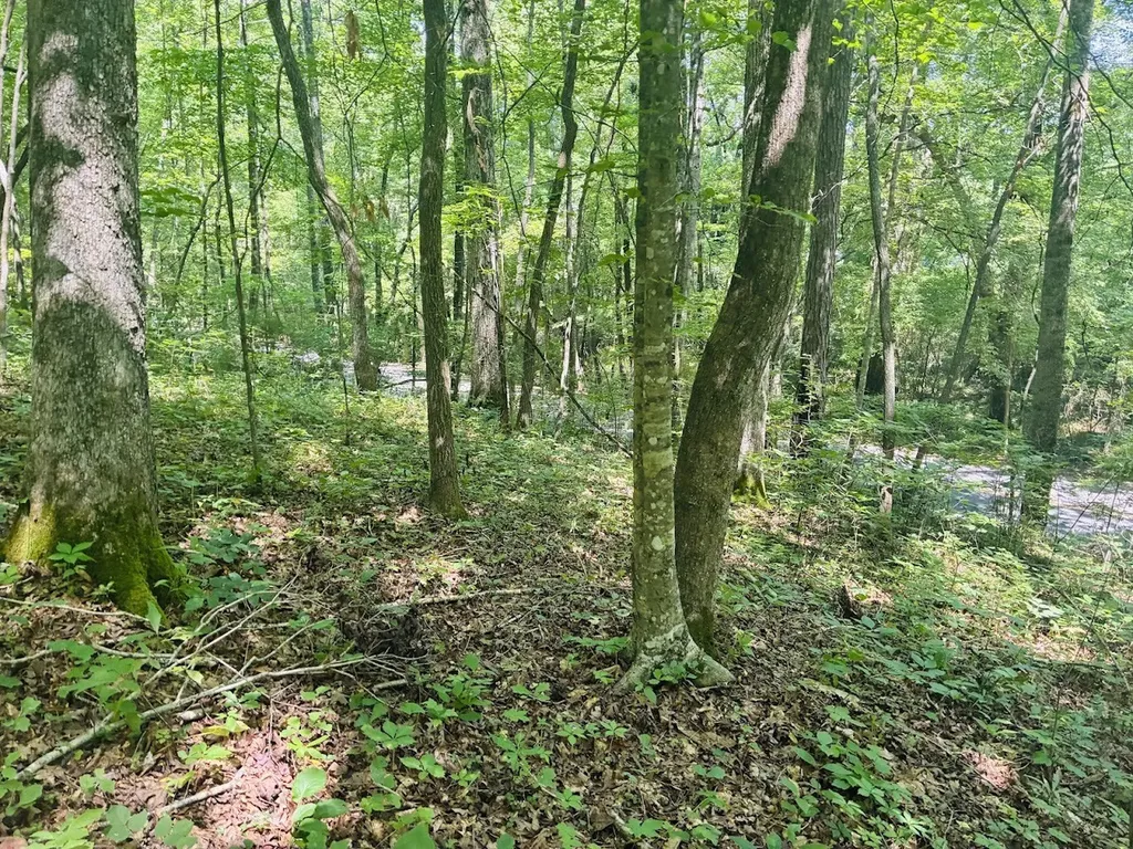0 Forest Glen Road Sylacauga AL 35151
